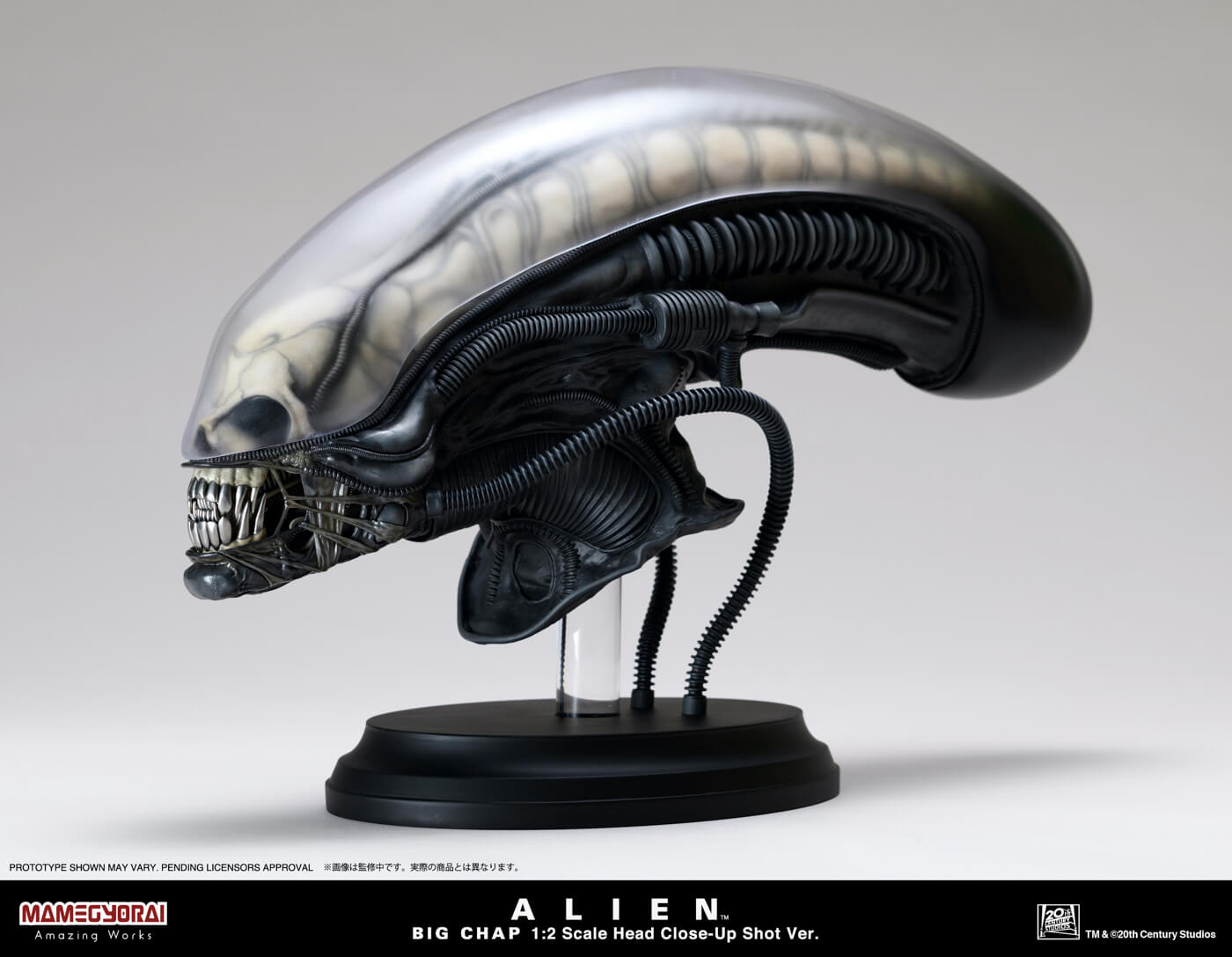 ALIEN BIG CHAP 1/2 SCALE HEAD Close Up Shot Ver.│Presented by 