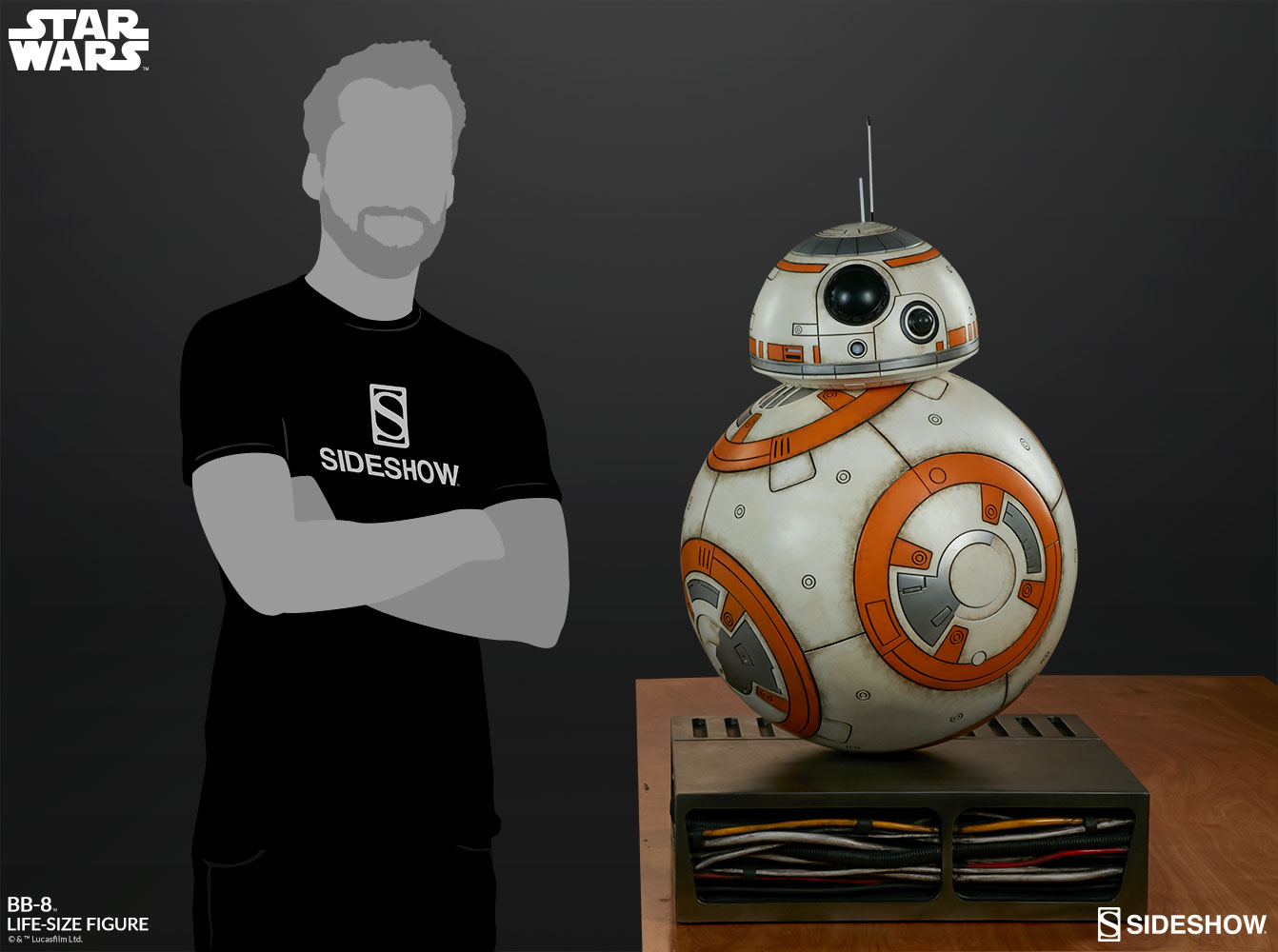 【入荷中止】【送料無料】スターウォーズ フォースの覚醒/ BB-8 ライフサイズ スタチュー - イメージ画像22