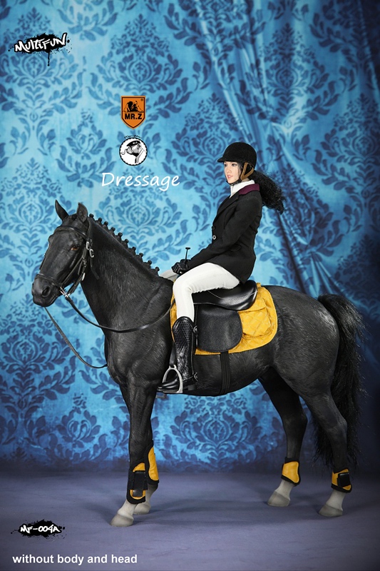 女性騎手＆乗用馬 1/6 アウトフィット＆アクセサリー Aセット MF004A - イメージ画像7