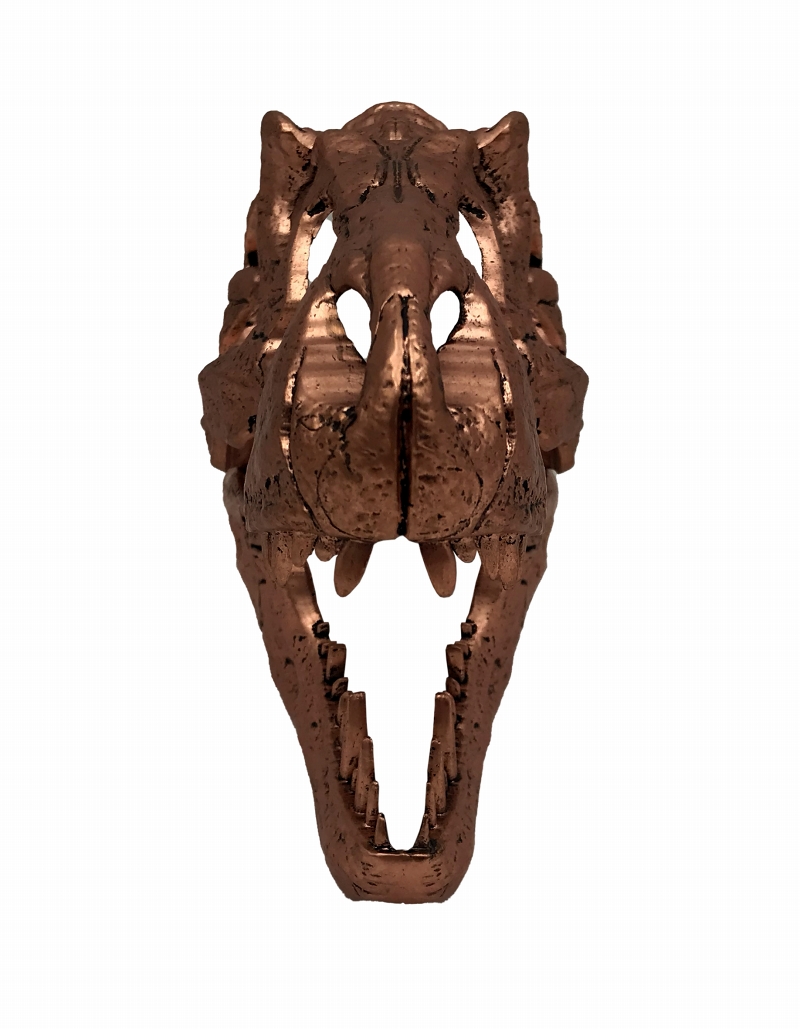 ジュラシック・パーク/ T-REX（ティラノサウルスレックス） スカル スケールプロップレプリカ - イメージ画像3