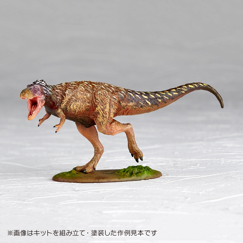 ARTPLA/ ティラノサウルス 幼体 1/35 プラモデルキット - イメージ画像6