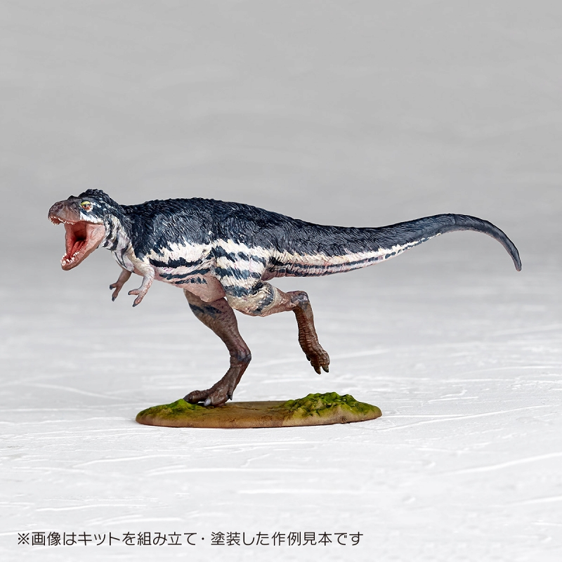 ARTPLA/ ティラノサウルス 幼体 1/35 プラモデルキット - イメージ画像8