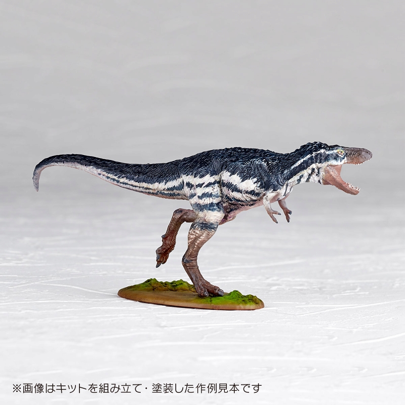 ARTPLA/ ティラノサウルス 幼体 1/35 プラモデルキット - イメージ画像9