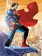 スーパーマン #204 by ジム・リー ポスター