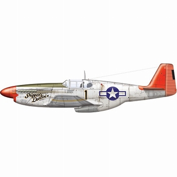 タスキーギ・エアメン P-51C マスタング 1/48 プラモデルキット