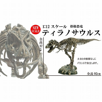 【お取り寄せ終了】骨格恐竜/ ティラノサウルス 1/12 骨格組み立てキット