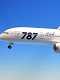 BOEING 787-8 ANA特別塗装機 JA802A 暫定国内仕様機 1/200: NH20051 