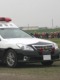 塗装済パトロールカー/ 200 クラウン パトロールカー 警視庁 無線警ら仕様 1/24 プラモデルキット