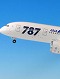 【お取り寄せ終了】787-8 JA801A 特別塗装機 主翼 空中姿勢 1/200 NH20053