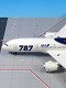【お取り寄せ終了】787-8 JA801A 特別塗装機 主翼 地上姿勢 1/200 NH20054