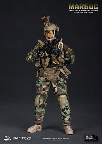アメリカ海兵隊 特殊作戦司令部 海兵特殊作戦連隊 スペシャル OPS