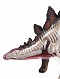 立体パズル 4D VISION 動物解剖/ no.25 ステゴサウルス 解剖モデル