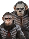 猿の惑星: 新世紀/ 7インチ アクションフィギュア シリーズ1: 2種セット