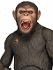 【パッケージダメージあり】猿の惑星: 新世紀/ 7インチ アクションフィギュア シリーズ2: シーザー