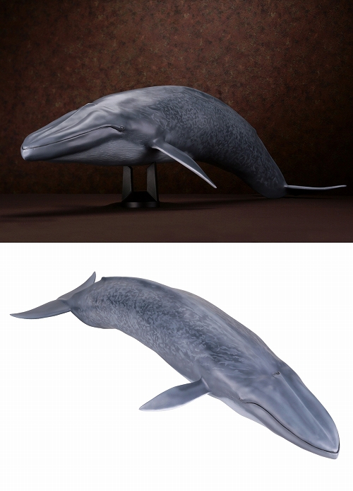 メガソフビアドバンス/ シロナガスクジラ メガサイズソフビ