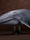 メガソフビアドバンス/ シロナガスクジラ メガサイズソフビ