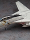 クリエイターワークス/ エースコンバット ウォードッグ隊: F-14A トムキャット 1/72 プラモデルキット SP335