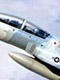 F-20B/N タイガーシャーク 複座戦闘機/練習機 「もしも」 バージョン 1/48 プラモデル FRE18003