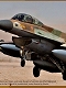 エアクラフトシリーズ/ F-16D ブラキート イスラエル空軍 1/48 プラモデルキット K48009