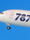 B787-8 JA802A 特別塗装機 1/200 NH20083