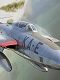 【再入荷】リパブリック RF-84F サンダーフラッシュ 1/48 プラモデルキット TAN2201-1
