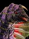 怪獣 Remix Series KRS x NIRASAWA/ ウルトラマン: 彗星怪獣 ドラコ ソフビ製 塗装済 完成品