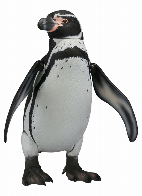 【お取り寄せ終了】ソフビトイボックス/ フンボルトペンギン