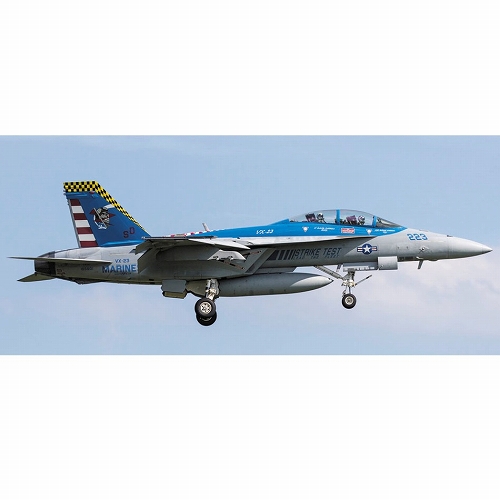 F/A-18F スーパーホーネット VX-23 ソルティドッグズ 1/48 プラモデルキット 07450