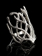 【送料無料】ホビット 竜に奪われた王国/ 闇の森のエルフ王 スランドゥイルの指輪 スターリングシルバー US6.75サイズ（日本13号）