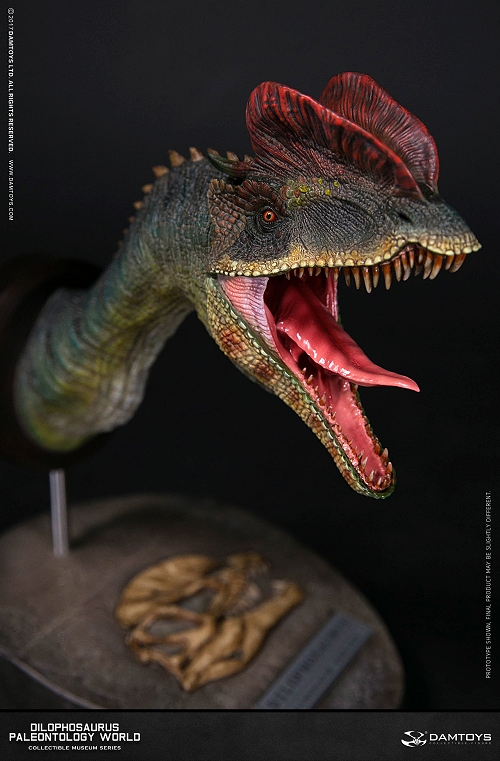 ミュージアムコレクションシリーズ/ ディロフォサウルス バスト Dタイプ MUS002D