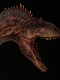 ミュージアムコレクションシリーズ/ アロサウルス バスト Aカラー ver MUS010A