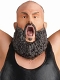 WWE フィギュア チャンピオンシップ コレクション #6 ブラウン・ストローマン