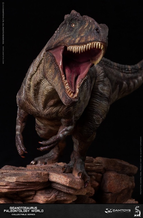 ミュージアムコレクションシリーズ/ ギガノトサウルス スタチュー MUS014