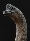 プライムコレクタブルフィギュア/ ジュラシック・パーク: ブラキオサウルス 1/38 PVC スタチュー PCFJP-03
