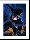 DCコミックス/ ナイトウィング by ウォーレン・ロウ アートプリント