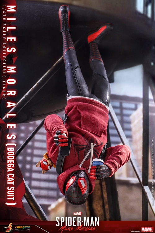 【お一人様1点限り】Marvel's Spider-Man Miles Morales/ ビデオゲーム・マスターピース 1/6 フィギュア: スパイダーマン マイルス・モラレス ボデガキャットスーツ ver