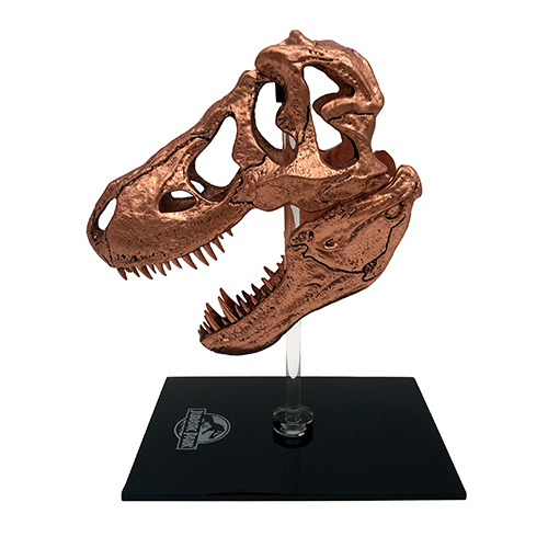 ジュラシック・パーク/ T-REX（ティラノサウルスレックス） スカル スケールプロップレプリカ - イメージ画像