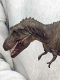 【復刻版】ティラノサウルス タイプB ミドル ソフビキット