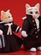 DIGKawaiiACTION/ 全日本暴猫連合なめんなよ: 「なめ猫」又吉＆トラ子 プチアクションフィギュア セット