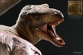 ダイナソーリア/ ティラノサウルス（Tレックス） vs トリケラトプス ジオラマ スタチュー - イメージ画像4