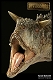 ダイナソーリア/ カルノタウルス マケット - イメージ画像7