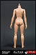 トライアド・スタイル/ アルファ ヘッドレス女性素体12インチ アクションフィギュア ビッグバスト ver - イメージ画像2