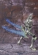 魔戒可動/ 牙狼 -GARO-: 銀牙騎士 ゼロ - イメージ画像2