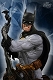 ヒーローズ・オブ・ザ・DCユニバース シリーズ2/ バットマン バスト - イメージ画像1