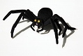 ウルトラQ コレクション/ 総天然色 ウルトラQ: 大蜘蛛タランチュラ - イメージ画像1