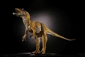 ダイノテイルズコレクション/ アロサウルス 1/20 ソフビ ブラウンカラー ver - イメージ画像2