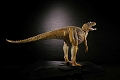 ダイノテイルズコレクション/ アロサウルス 1/20 ソフビ ブラウンカラー ver - イメージ画像4