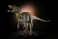 ダイノテイルズコレクション/ アロサウルス 1/20 ソフビ グリーンカラー ver - イメージ画像1