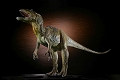 ダイノテイルズコレクション/ アロサウルス 1/20 ソフビ グリーンカラー ver - イメージ画像2