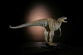ダイノテイルズコレクション/ アロサウルス 1/20 ソフビ グリーンカラー ver - イメージ画像4